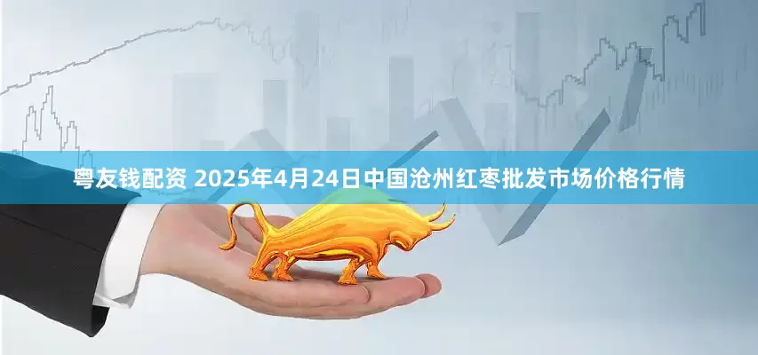 粤友钱配资 2025年4月24日中国沧州红枣批发市场价格行情