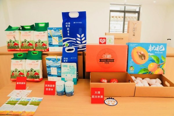 传金所配资 小院育“新苗” 电商润乡村