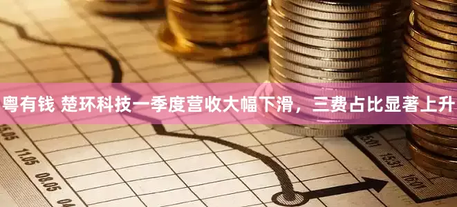 粤有钱 楚环科技一季度营收大幅下滑，三费占比显著上升