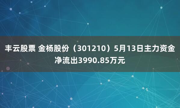 丰云股票 金杨股份（301210）5月13日主力资金净流出3990.85万元