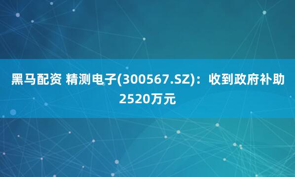 黑马配资 精测电子(300567.SZ)：收到政府补助2520万元