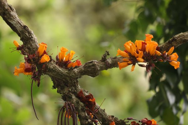 港陆证券 设立4周年 来看看这座生物多样性“宝库”的生态答卷